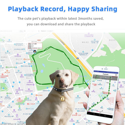 Collier GPS Intégré avec Cloche Amovible pour Animaux