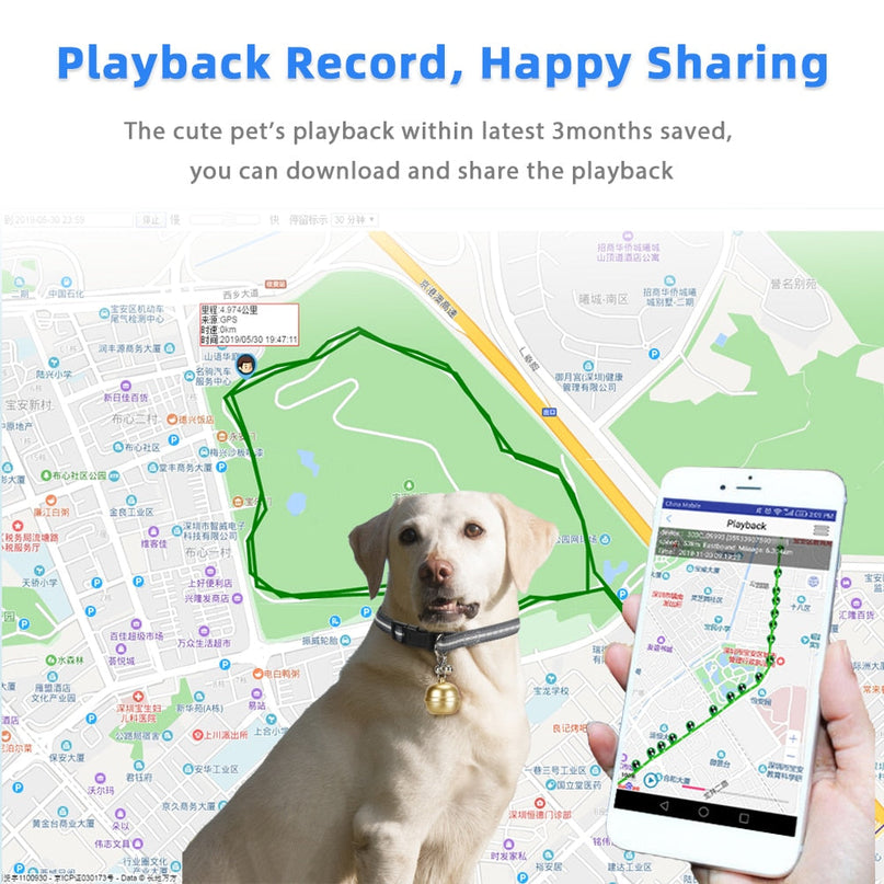 Collier GPS Intégré avec Cloche Amovible pour Animaux