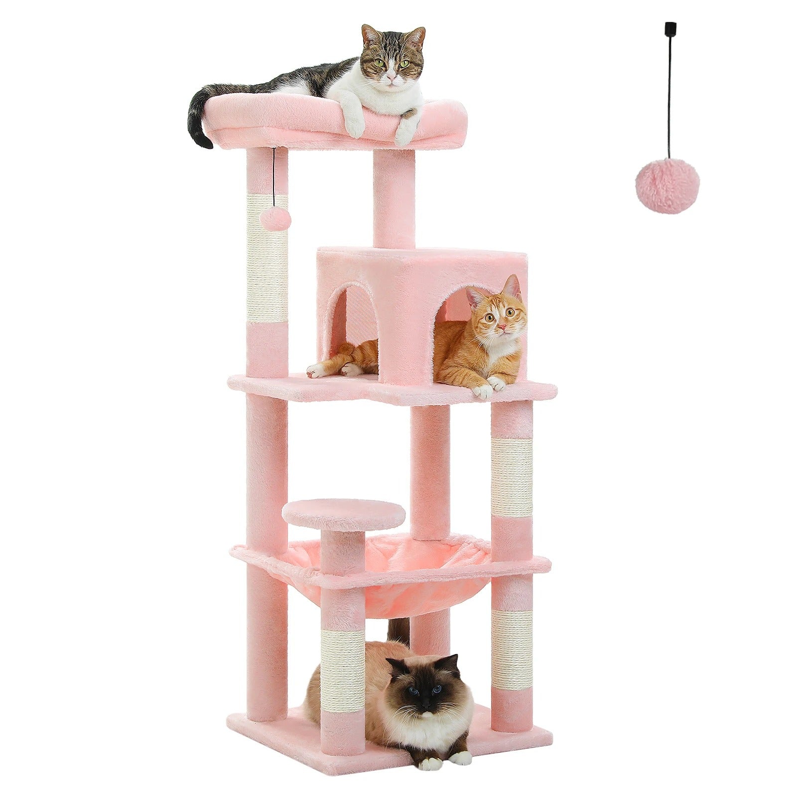 Petit Arbre à Chat Douceur Royale