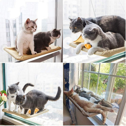 Plateforme Suspendue pour Chat à Fixation Vitre avec Câbles Discrets