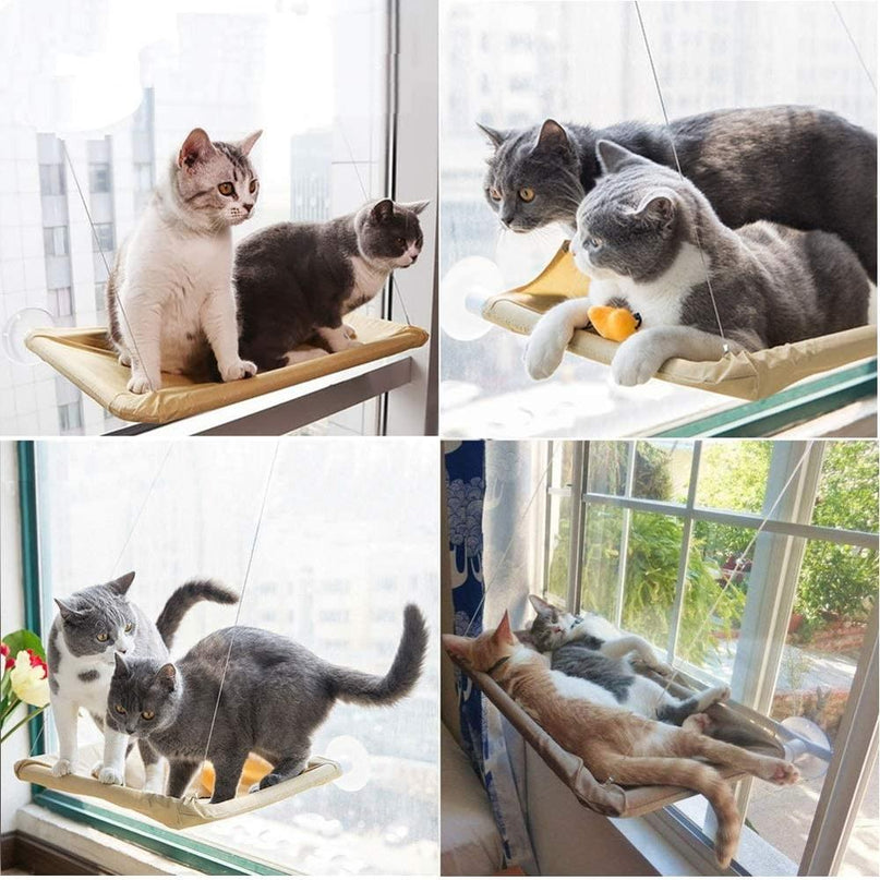 Plateforme Suspendue pour Chat à Fixation Vitre avec Câbles Discrets