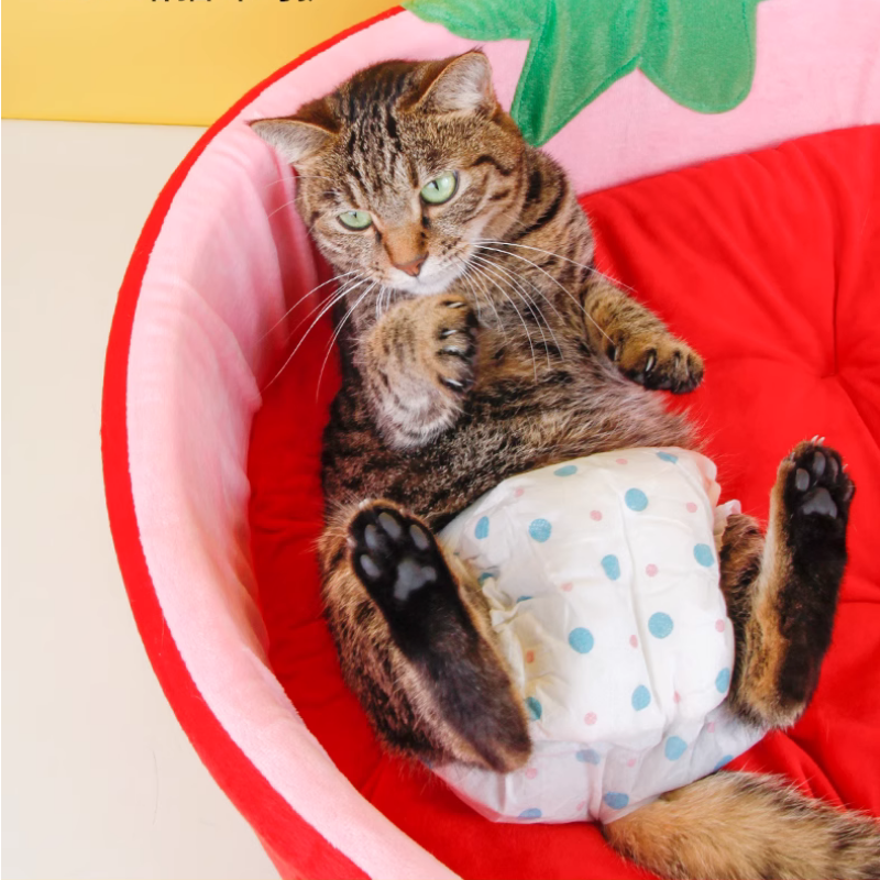 Panier Fraise pour Chat - Humour et Fantaisie