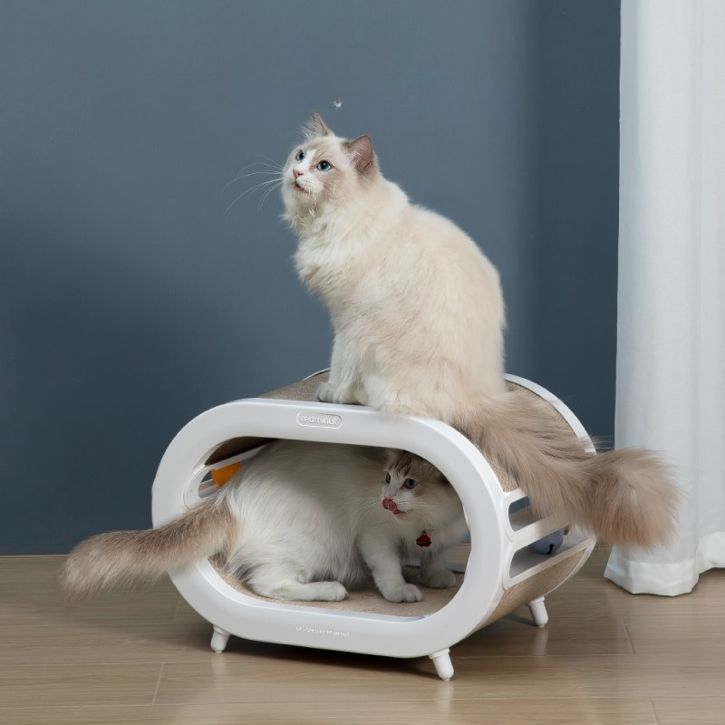 Tapis Roulant Interactif pour Chat avec Jouets Intégrés