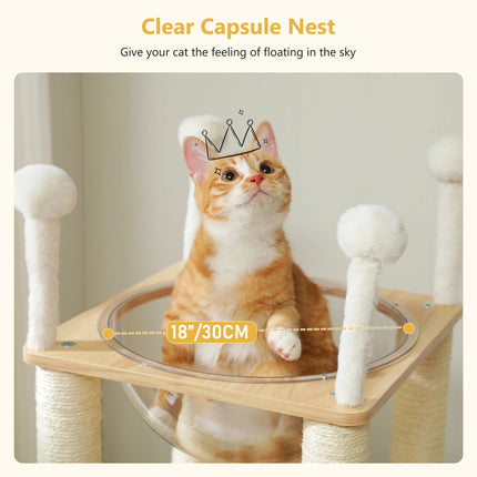 Arbre à Chat Minimaliste avec Plateforme en Verre et Modules Ludiques