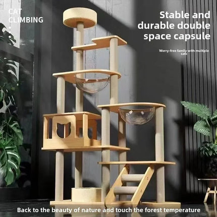 Arbre à chat moderne à plusieurs niveaux avec bols suspendus